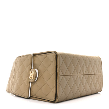 Chanel Caviar Quilted Medium Chanel 25 Handbag Dark Beige 5 of 12