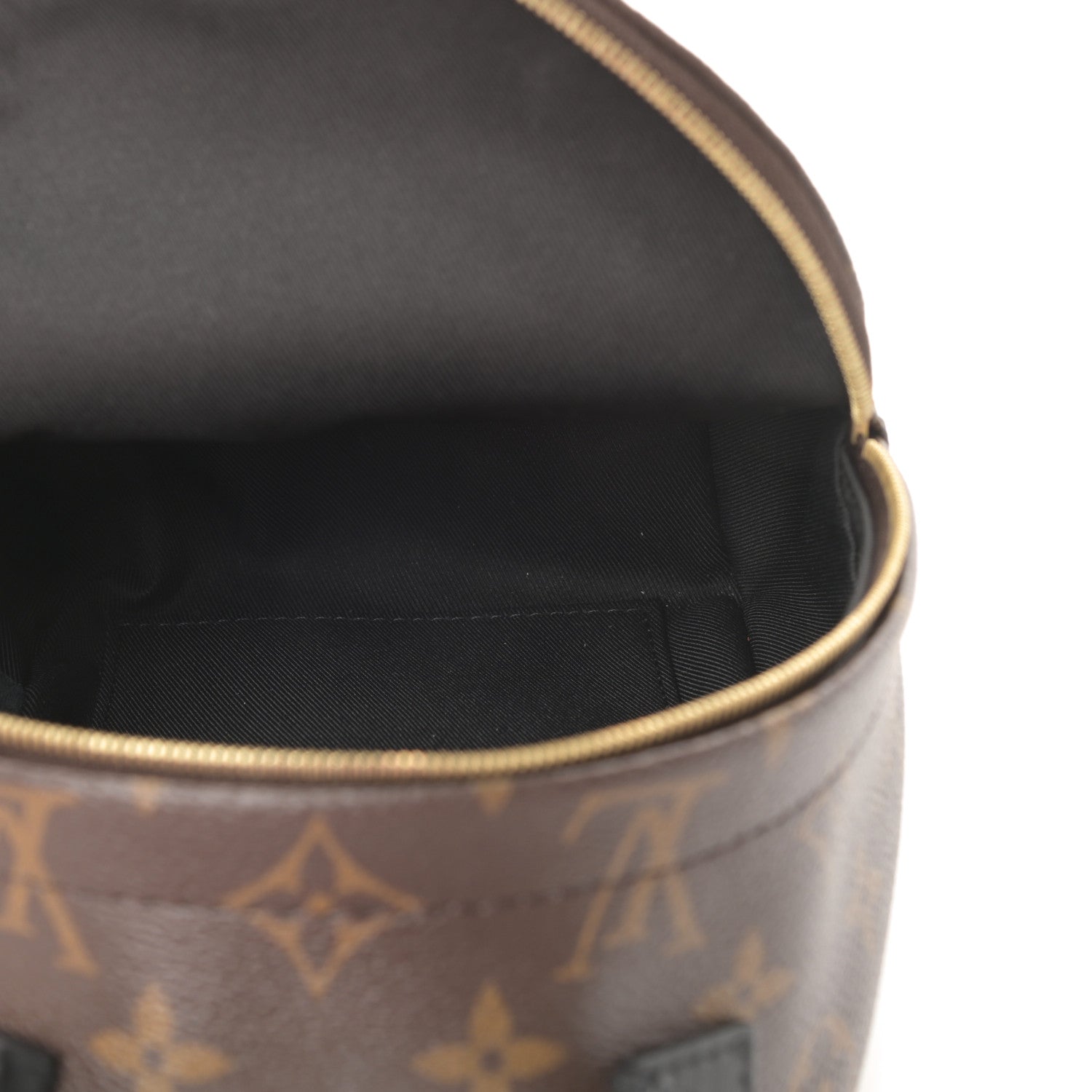 Louis Vuitton Monogram Palm Springs Backpack Mini 5 of 12