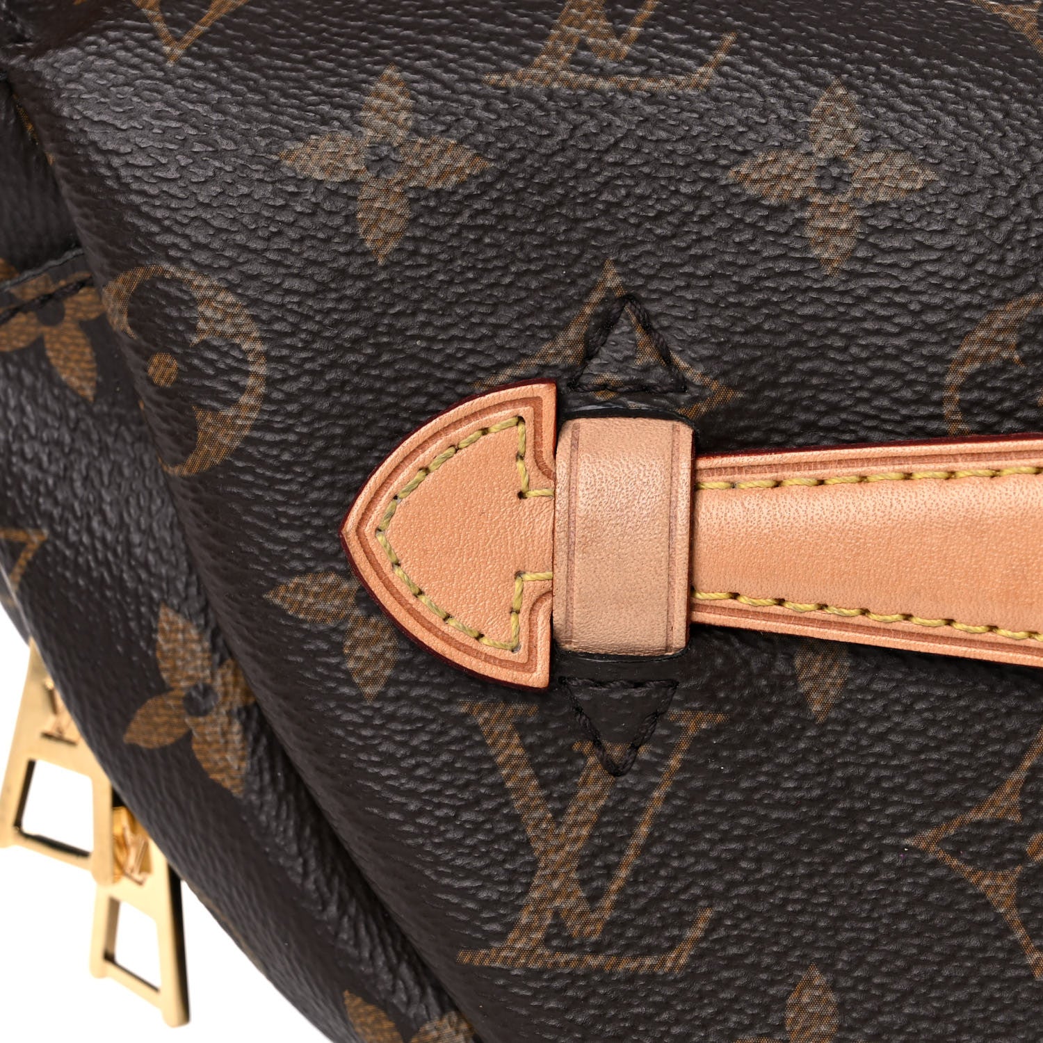 Louis Vuitton Monogram Bumbag 10 of 18