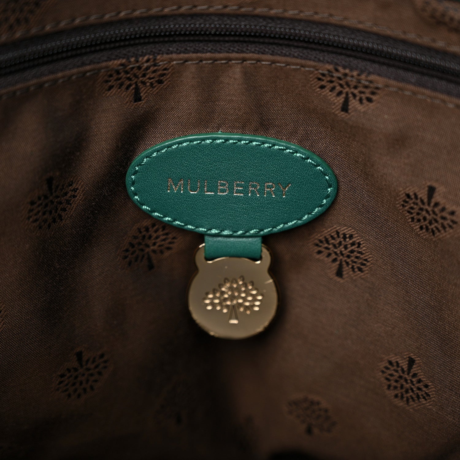 Mulberry Micrograin Calfskin Lizard Printed Medium Alexa Emerald 6 of 10