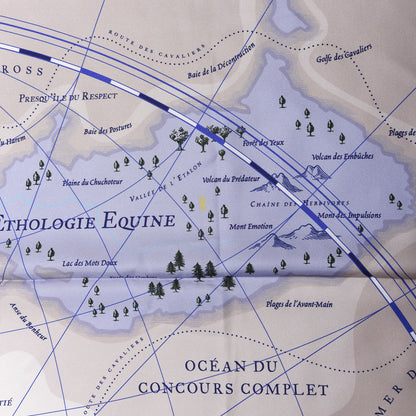 Hermes Silk Planisphere d'un Monde Equestre Shawl 140 4 of 5