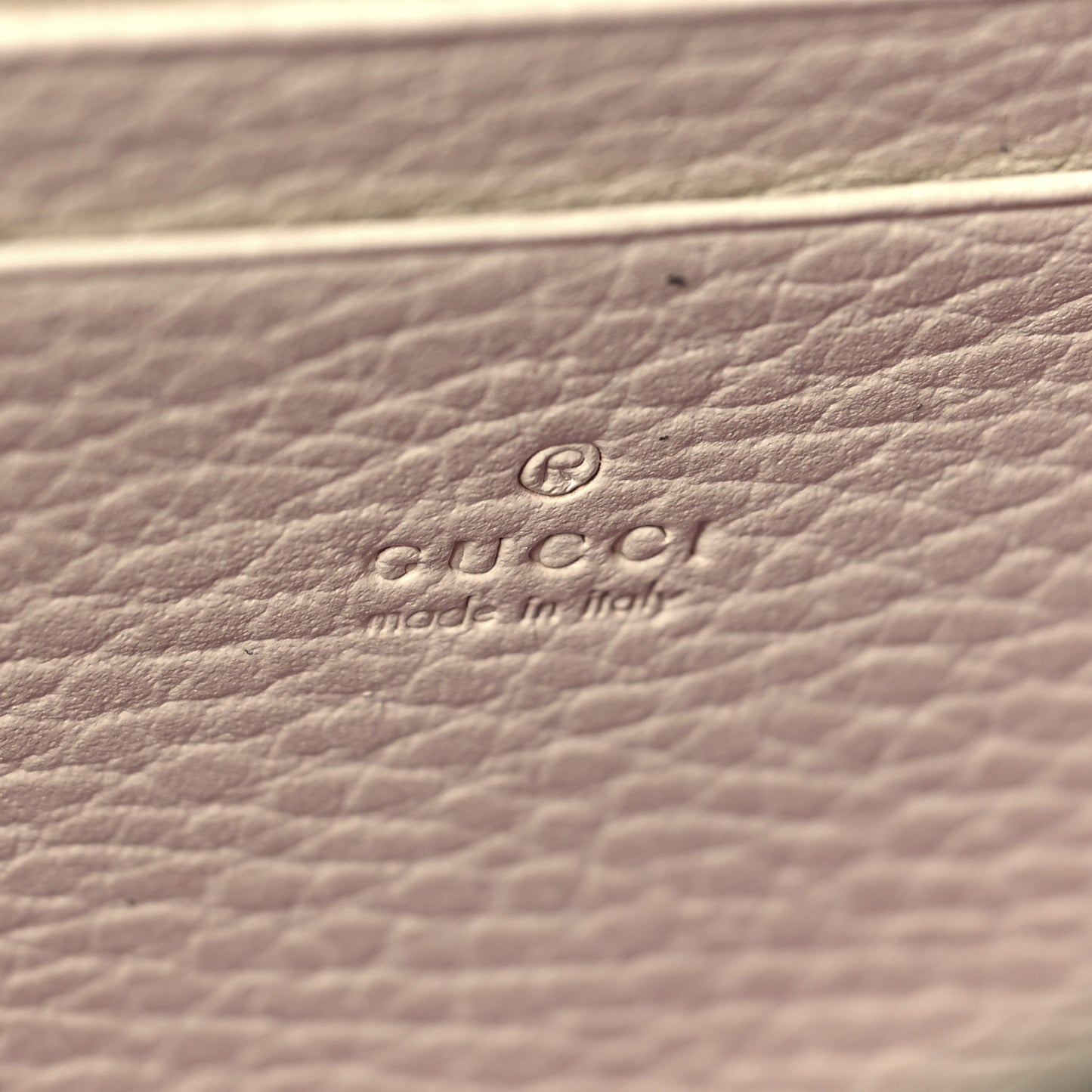 Dollar Calfskin Mini Dionysus Chain Wallet Mystic White