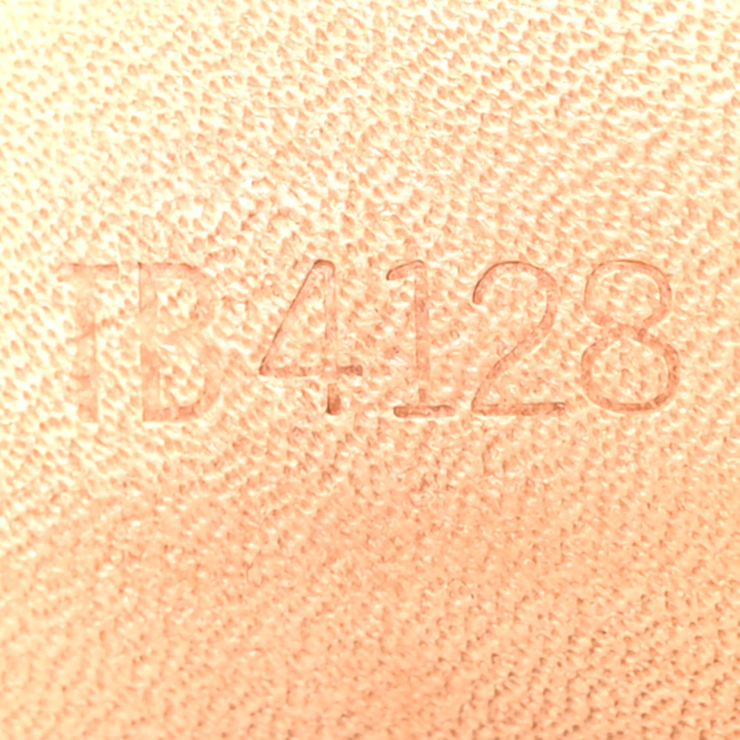 Monogram Nano Speedy