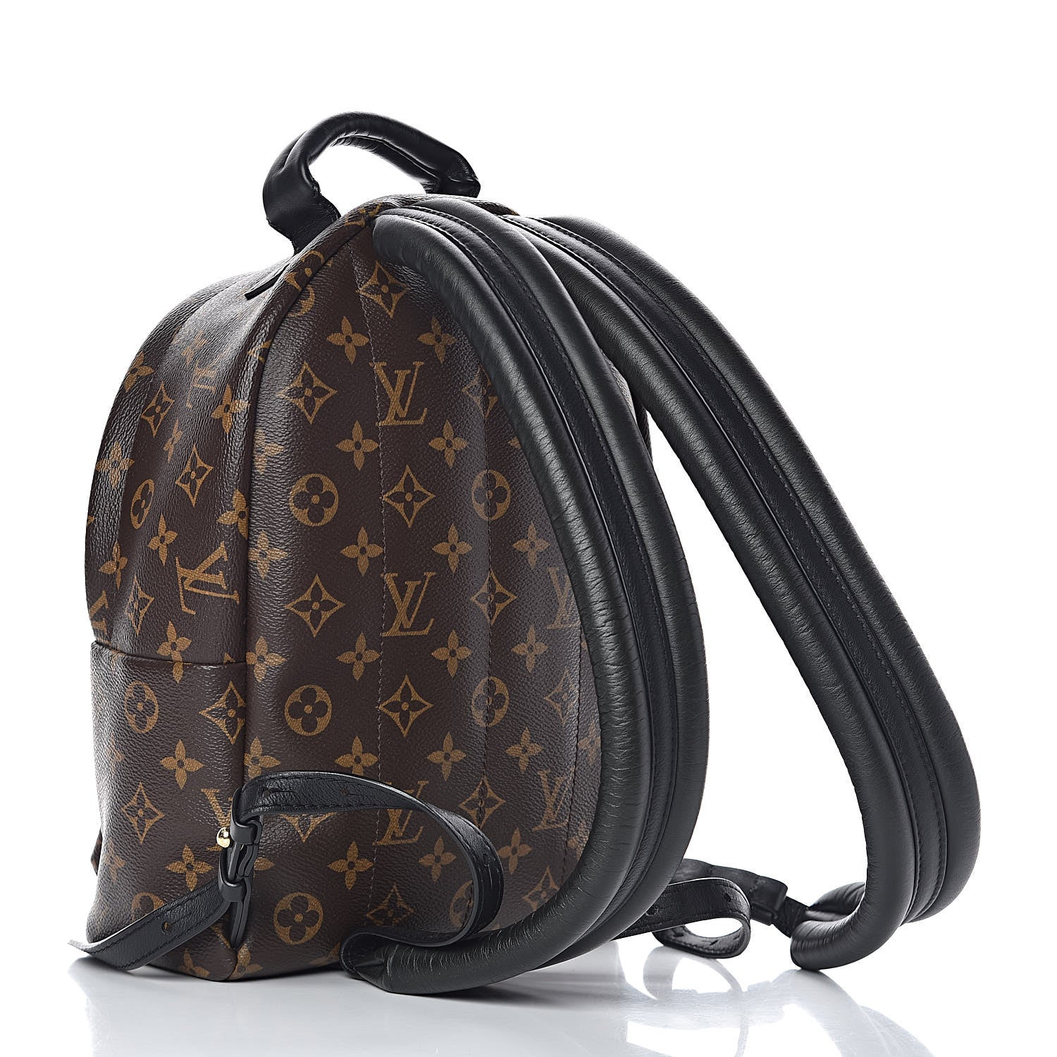 Louis Vuitton Monogram Palm Springs Backpack PM 3 of 10