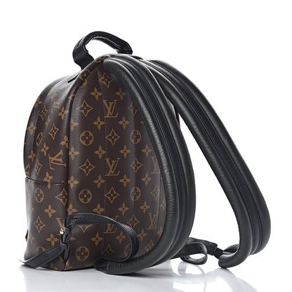 Louis Vuitton Monogram Palm Springs Backpack PM 3 of 10