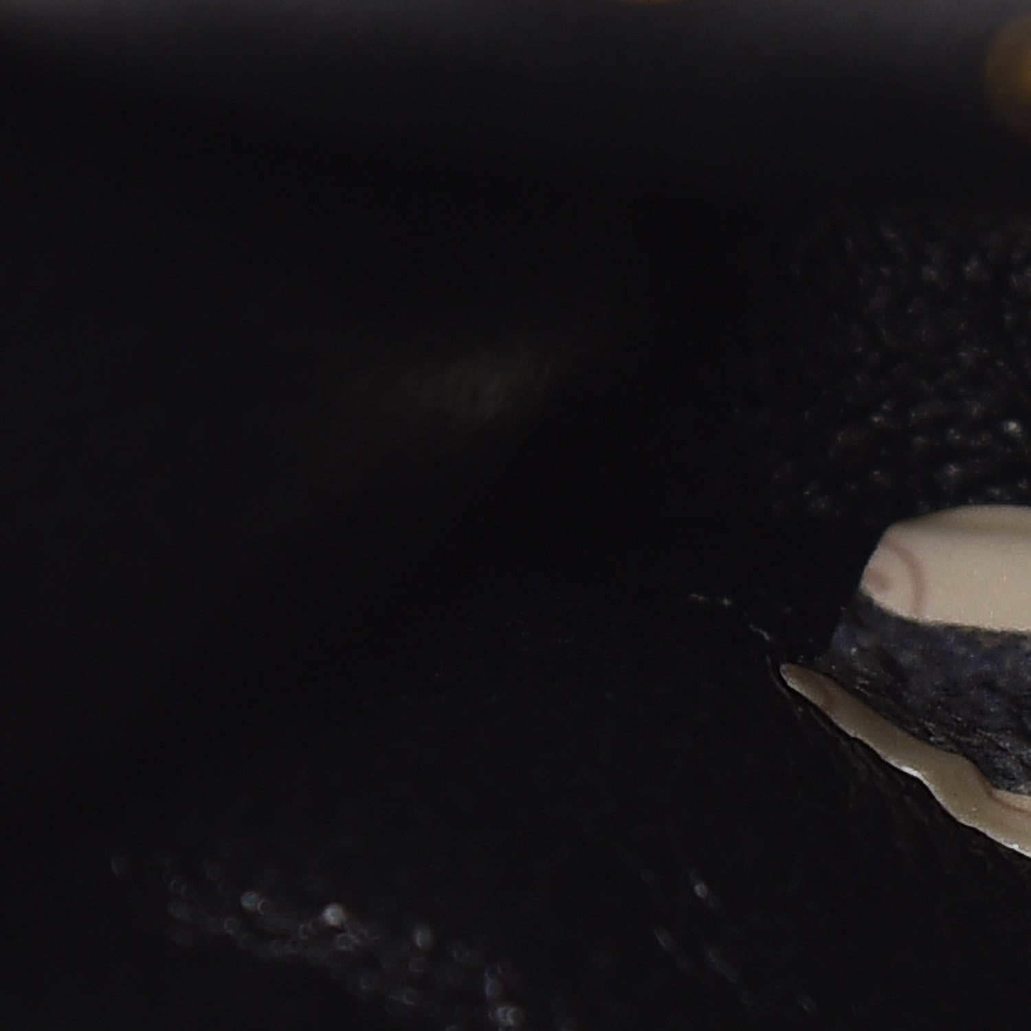 Chanel Lambskin Quilted Micro Mini Flap Black 9 of 9