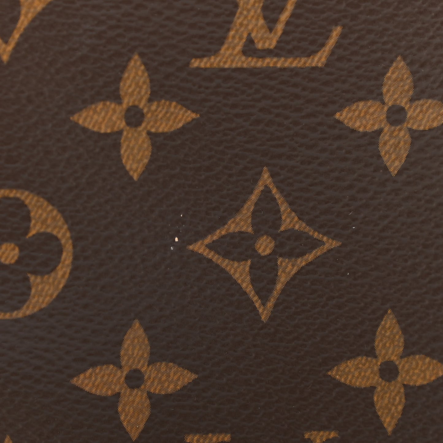 Monogram Nice Mini