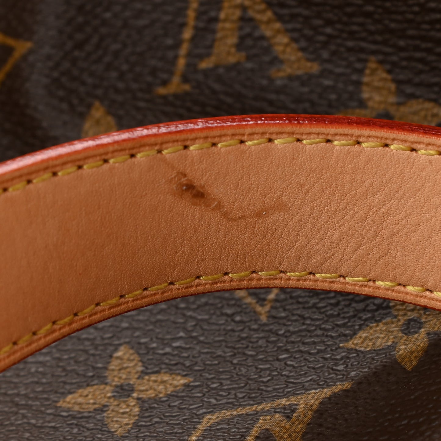Monogram Salina MM Rubis