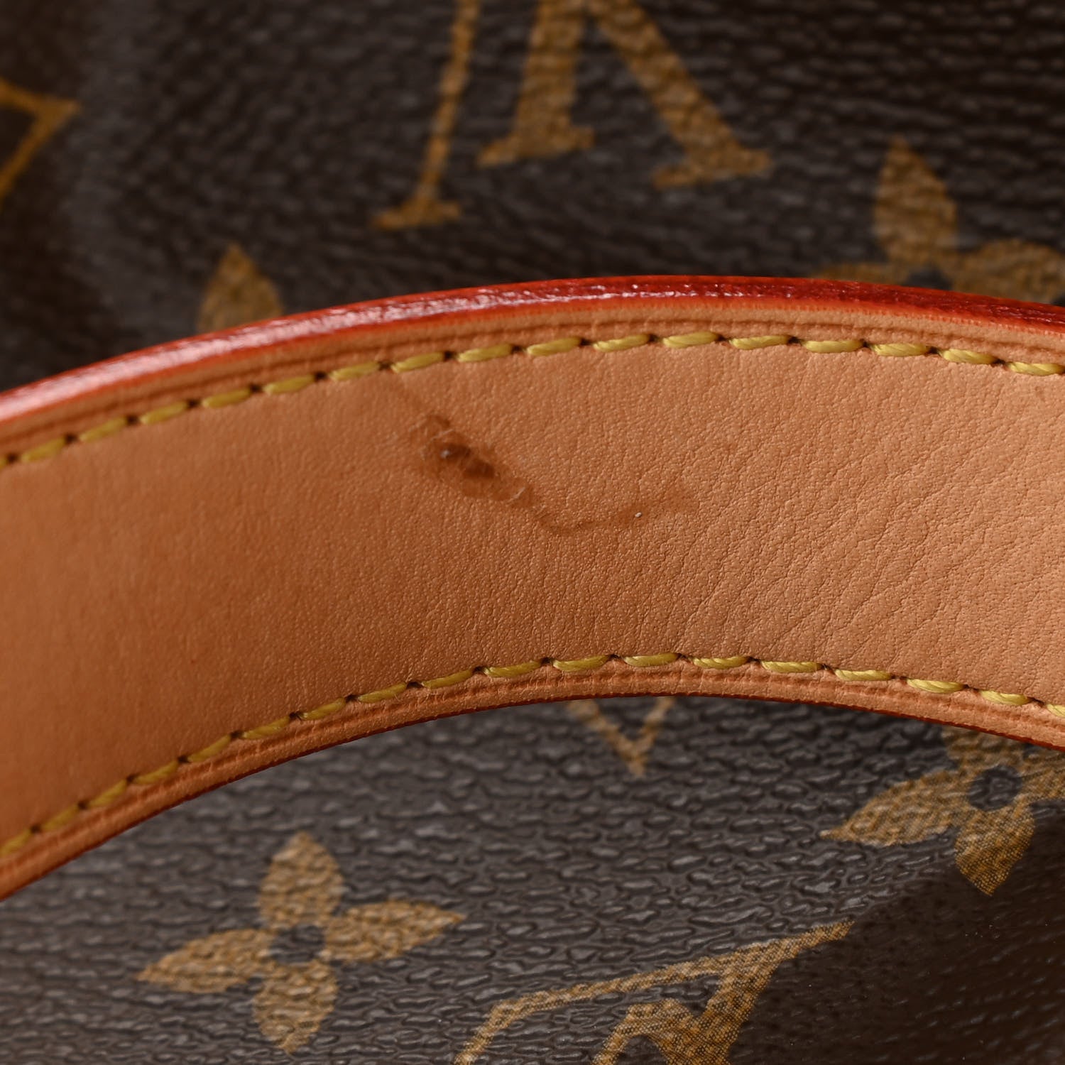 Louis Vuitton Monogram Salina MM Rubis 9 of 15