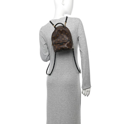 Louis Vuitton Monogram Palm Springs Backpack Mini 2 of 13