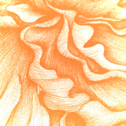 Hermes Silk A l'Ombre des Pivoines Scarf 90 White Orange Vert 7 of 10