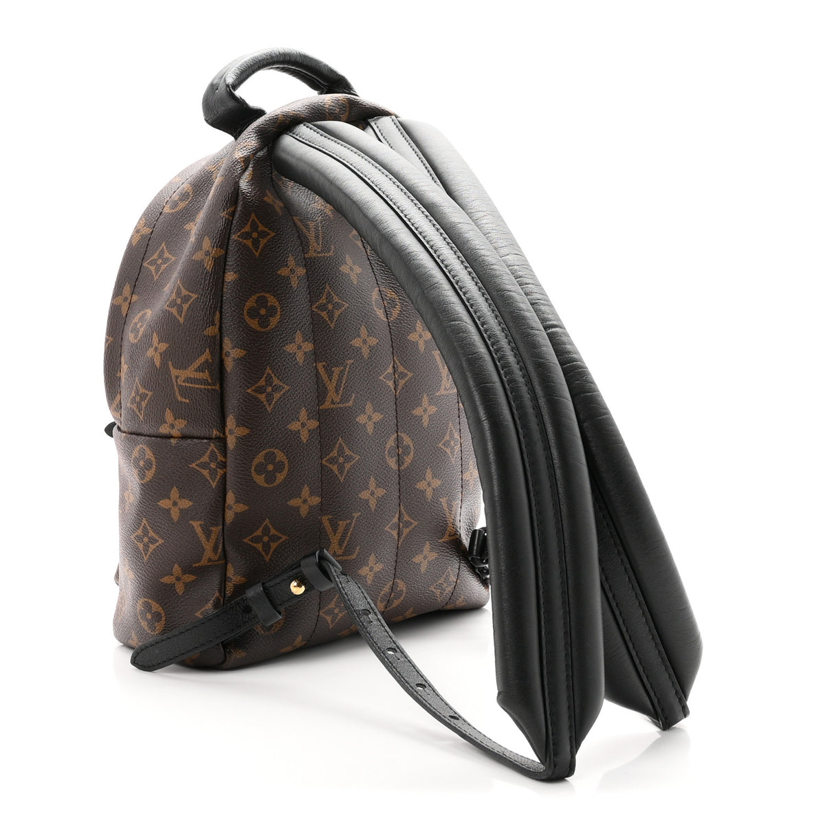 Monogram Palm Springs Backpack PM