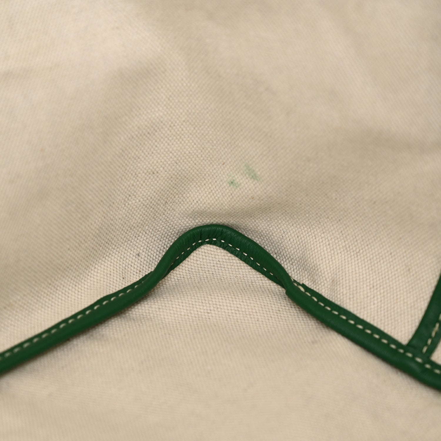 Goyard Goyardine Saint Louis GM Green 12 of 12