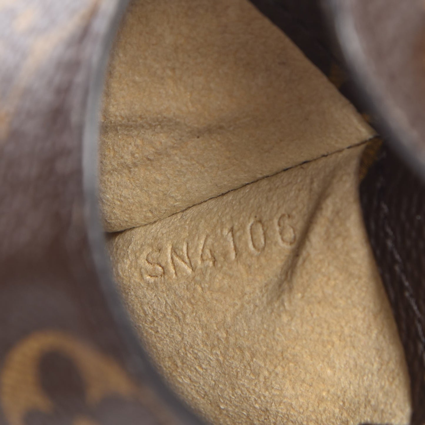 Monogram Sunglasses Case MM