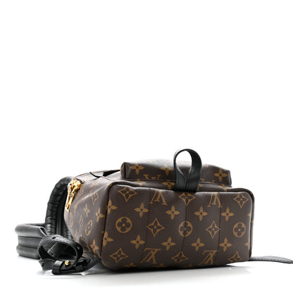 Louis Vuitton Monogram Palm Springs Backpack PM 3 of 9