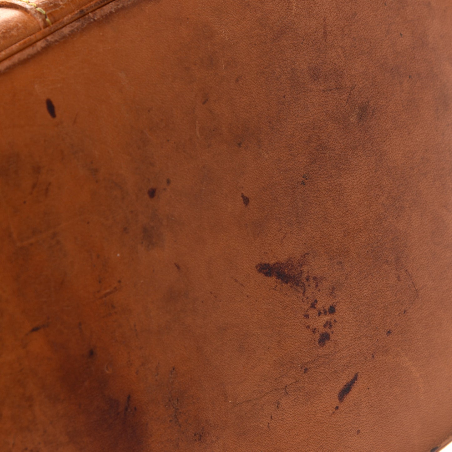 Monogram Randonnee GM Backpack