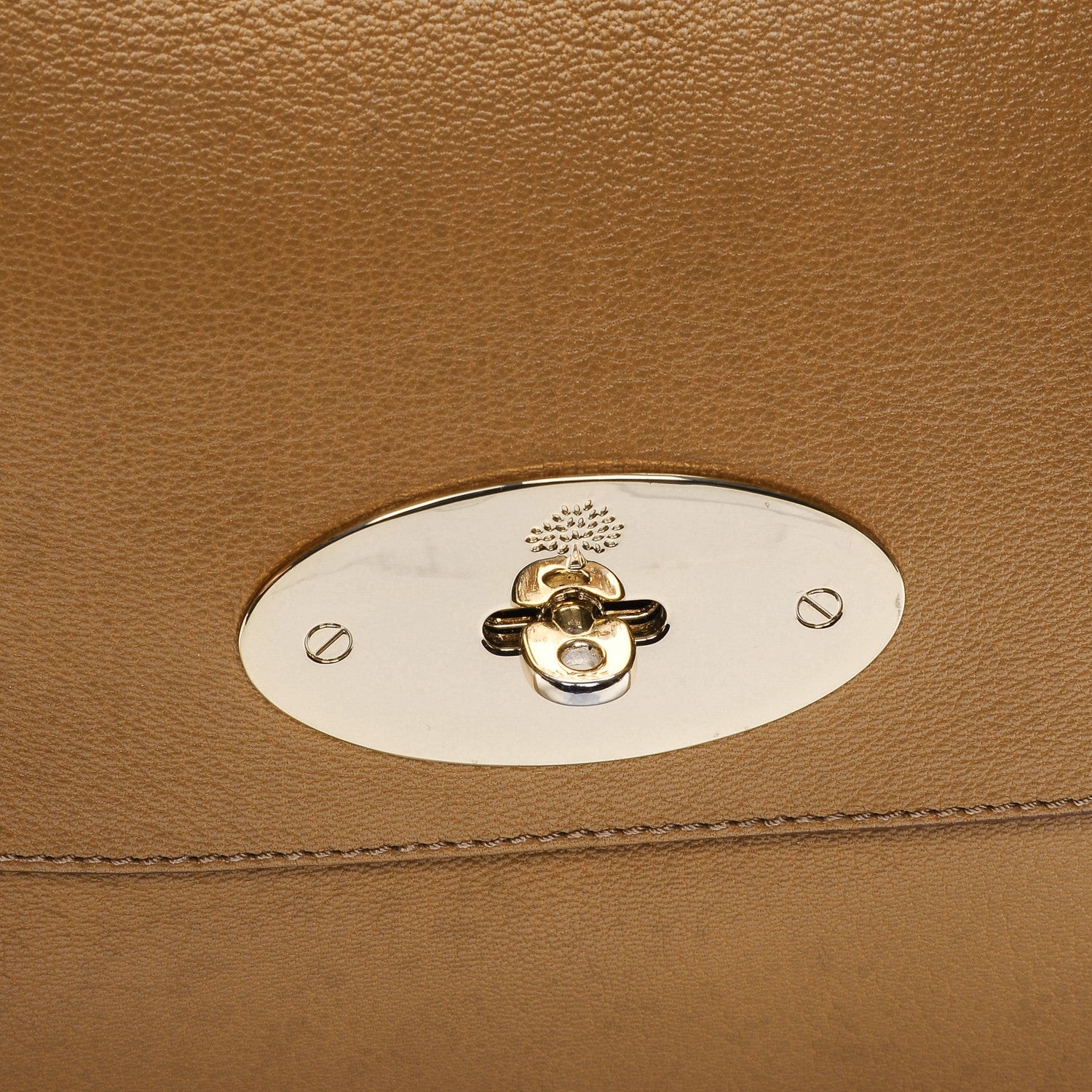 Mulberry Glossy Goatskin Medium Del Rey Satchel Deer Brown 6 of 11
