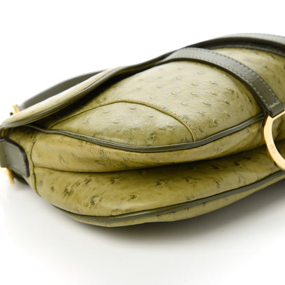 Christian Dior Ostrich Double Saddle Bag Green 6 of 11