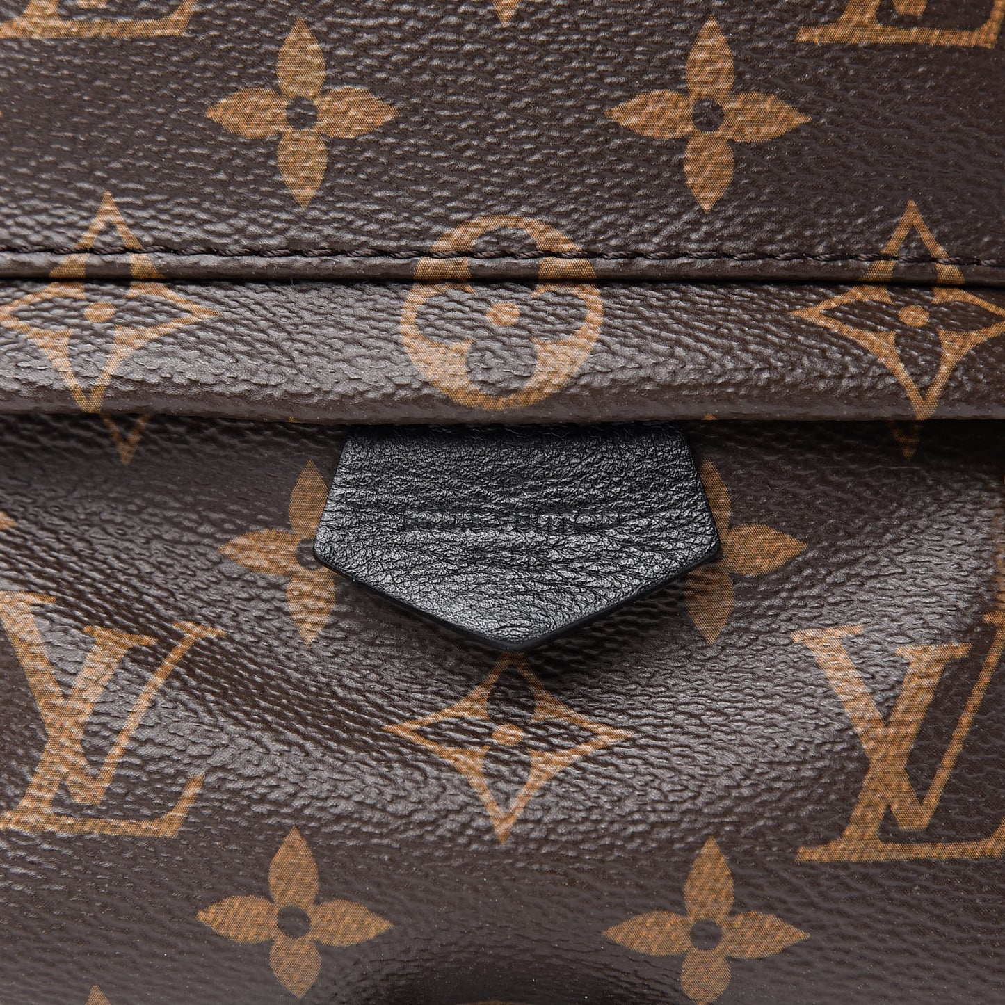 Monogram Palm Springs Backpack Mini