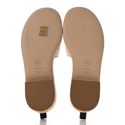 Chanel Lambskin CC Mules 35 Ivory Black 5 of 8