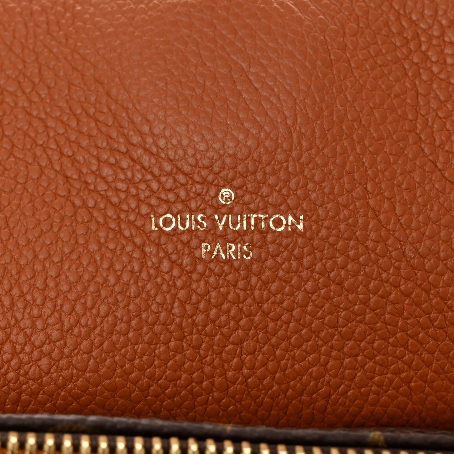 Monogram Manhattan NM Caramel