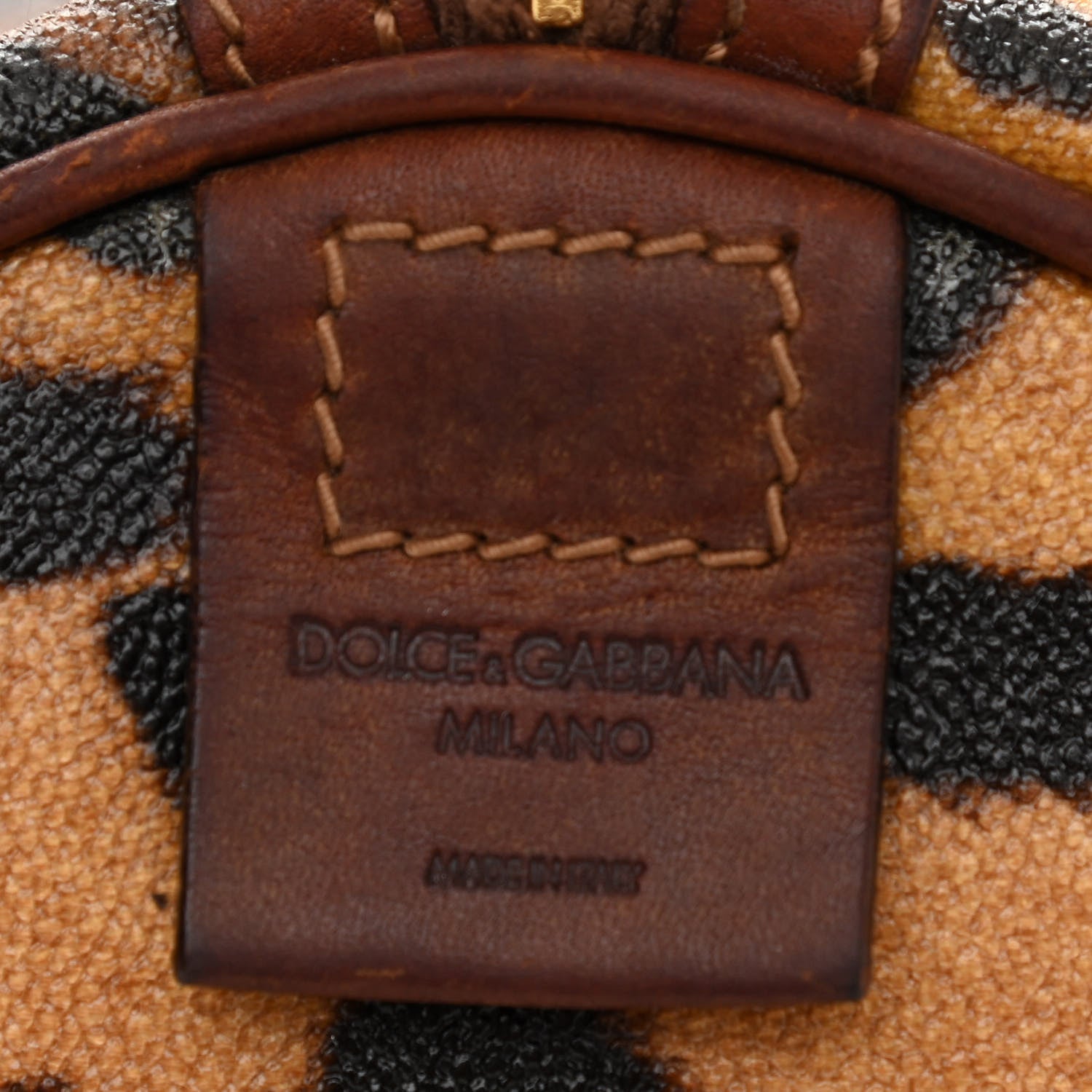Dolce & Gabbana Coated Canvas Leopard Print Boston Bag 9 of 15