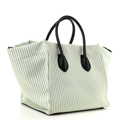 Celine Cotton Canvas Striped Medium Phantom Luggage White Green 3 of 12