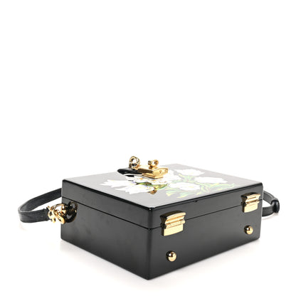 Dolce & Gabbana Plexiglass Calfskin Lizard Embossed Floral Box Bag Black 4 of 11