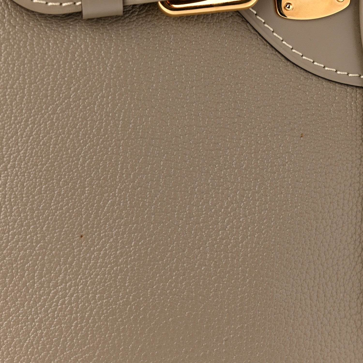 Louis Vuitton Suhali Le Majestueux Verone 11 of 11