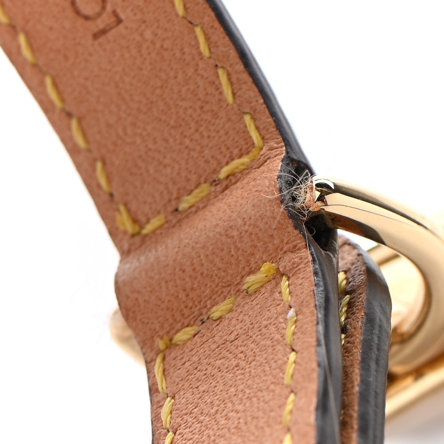 Monogram Baxter Dog Collar PM