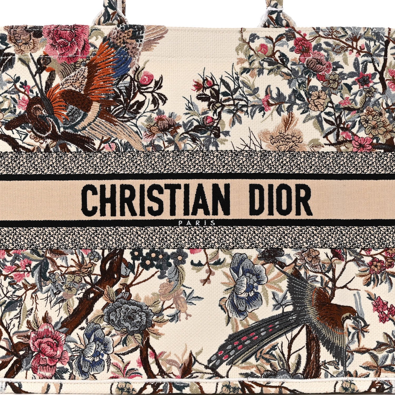 Christian Dior Canvas Embroidered Large Jardin D'Hiver Book Tote Latte Multicolor 7 of 12