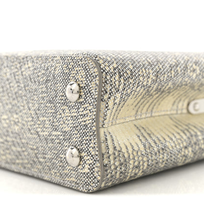 Louis Vuitton Lizard Mini Capucines Argento 9 of 10