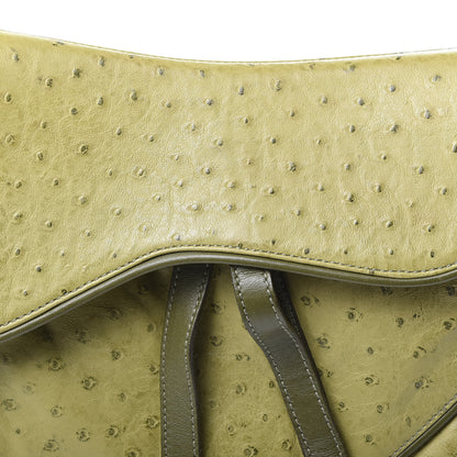 Christian Dior Ostrich Double Saddle Bag Green 9 of 9