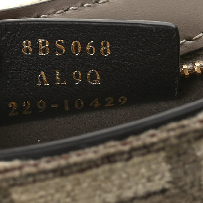 Fendi Chenille Vitello King Plexiglass FF O'Lock Swing Tortora Nuvola 6 of 8