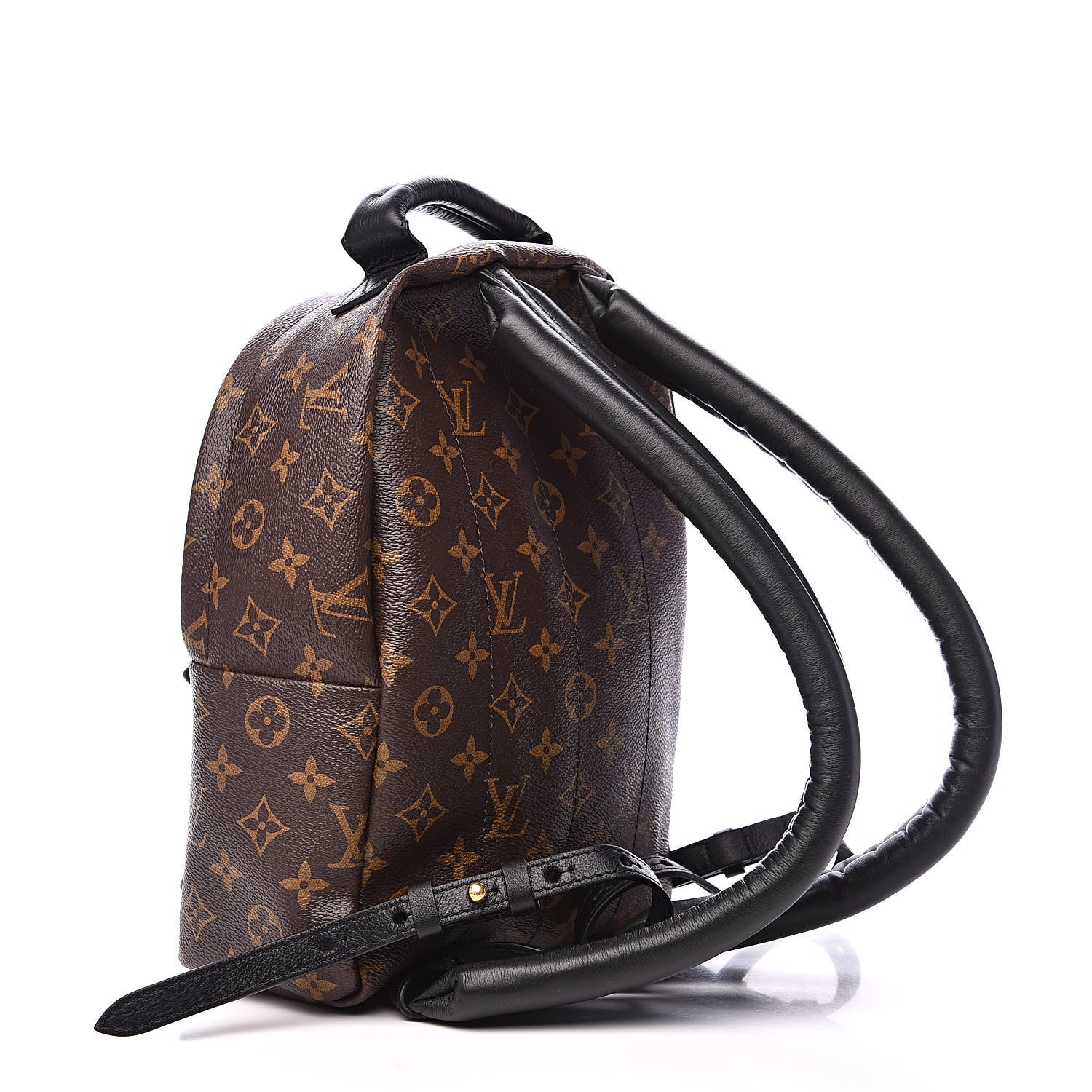 Louis Vuitton Monogram Palm Springs Backpack PM 3 of 9