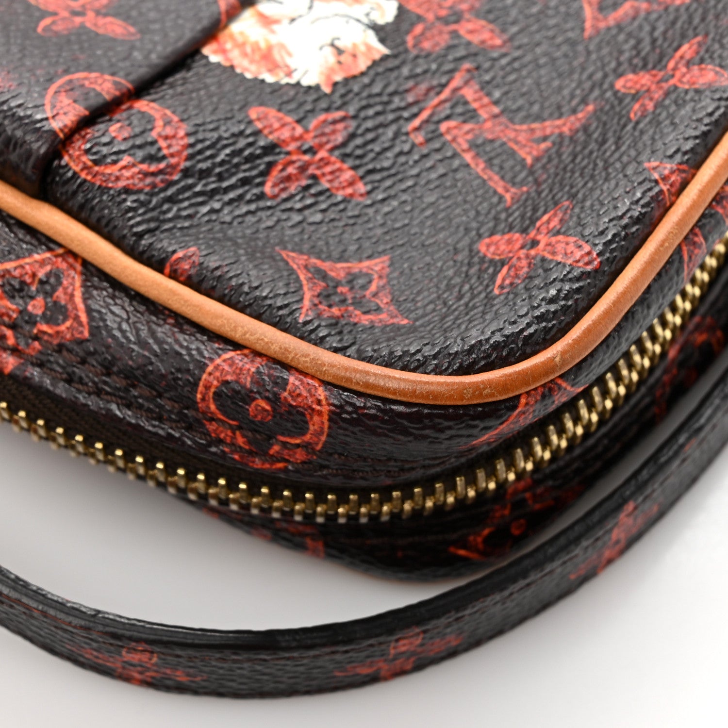 Louis Vuitton Catogram Paname Set Marron 21 of 23