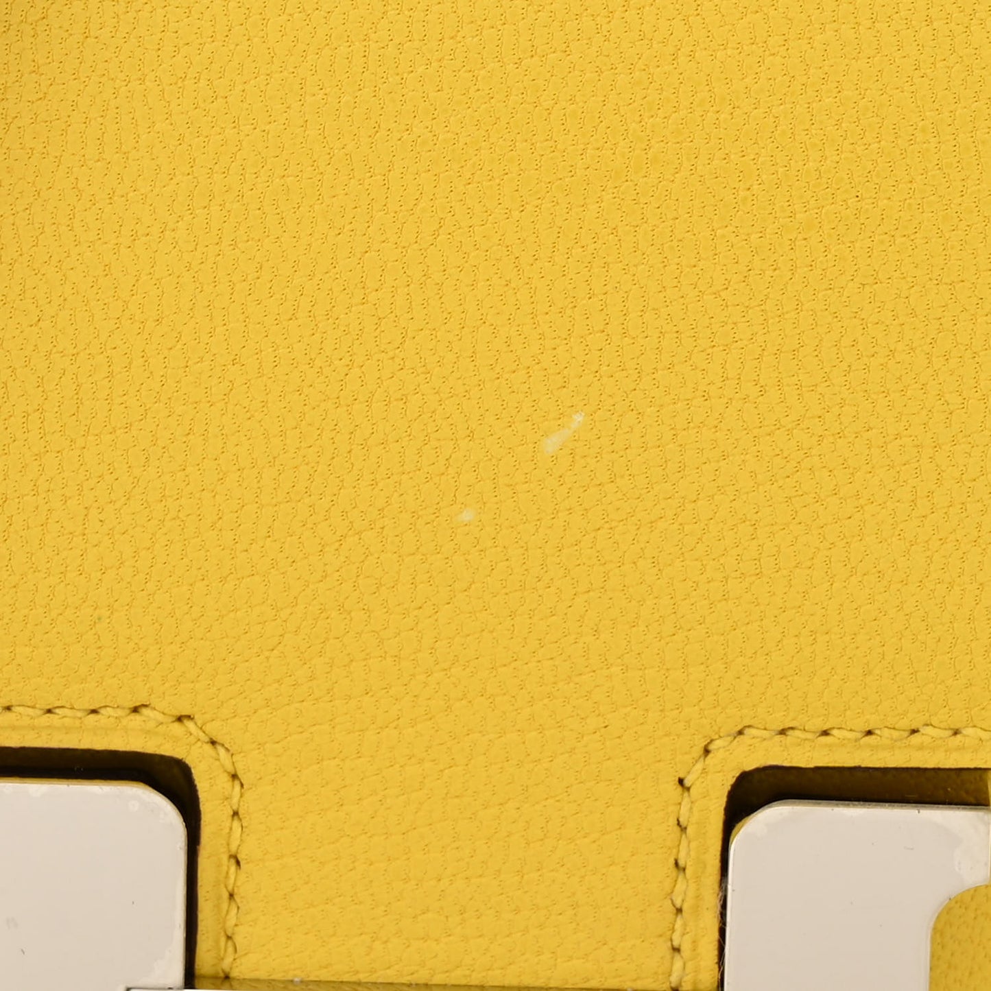 Chevre Mysore Constance 18 Jaune De Naples
