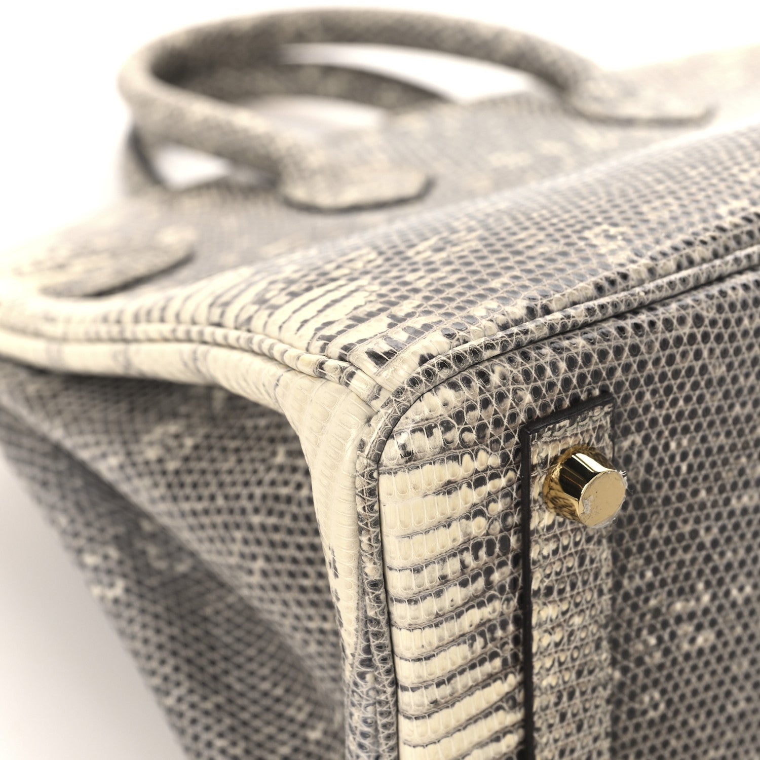Hermes Lizard Birkin 25 Ombre 11 of 13