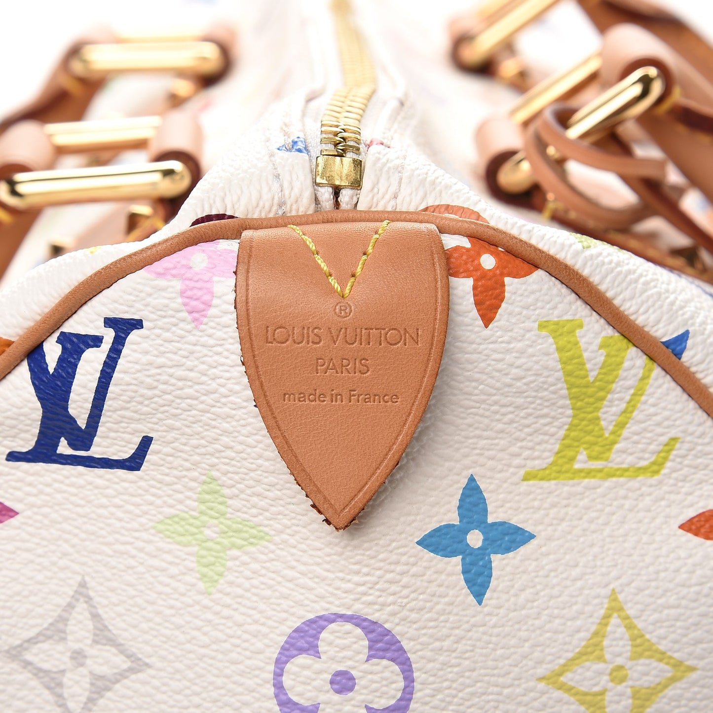 Monogram Multicolor Speedy 30 White