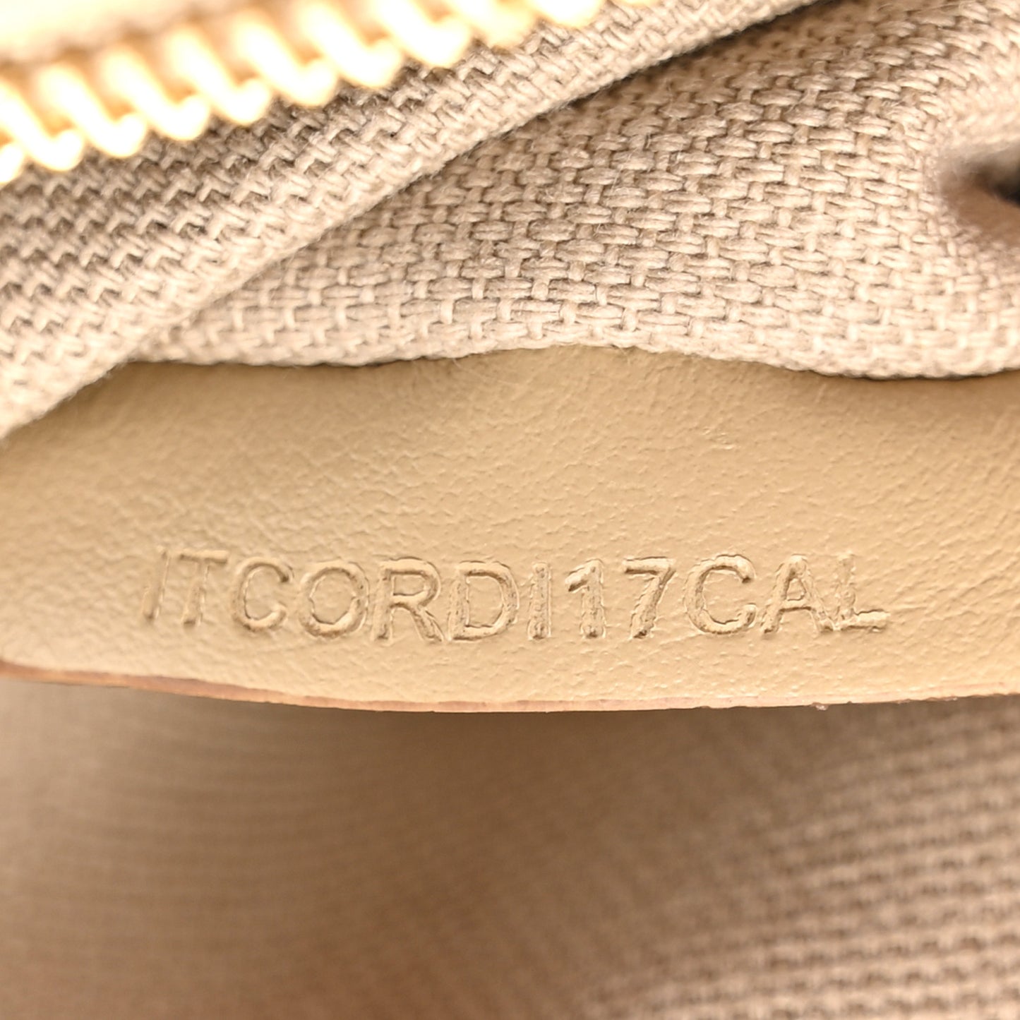 Calfskin Embossed Monogram Camera Chain Bag Honey