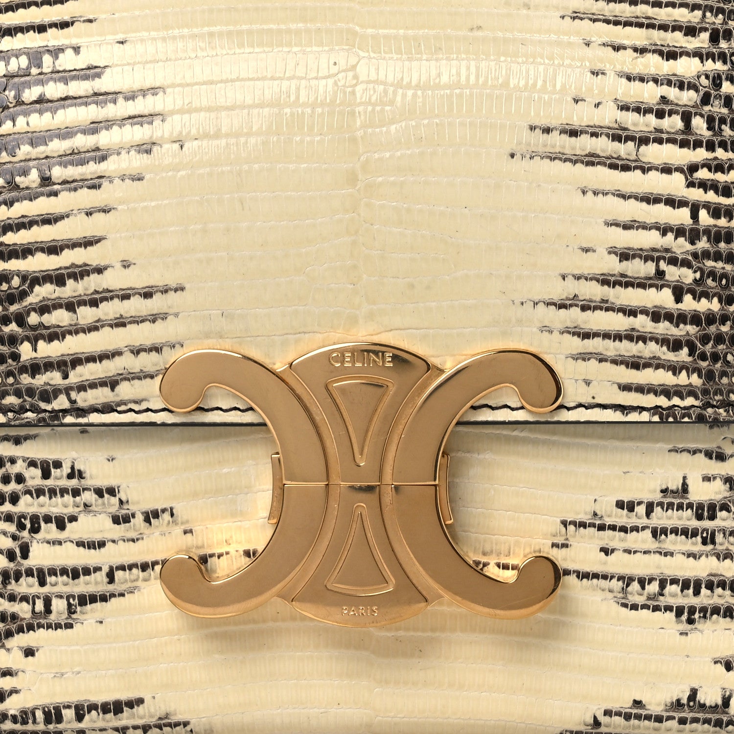 Celine Lizard Mini Triomphe Natural 10 of 13
