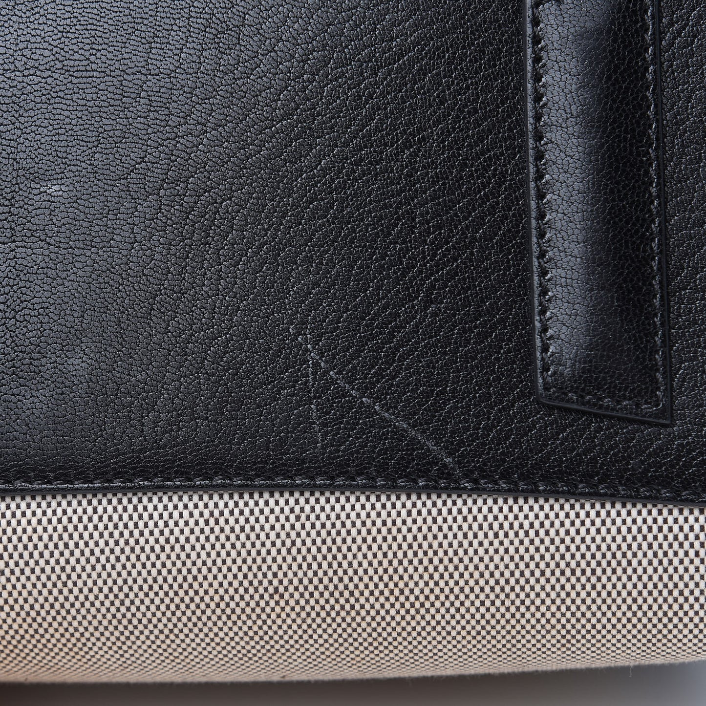 Canvas Sugar Goatskin Striped Small Antigona Black