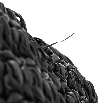 Saint Laurent Raffia Le Crossbody Black 13 of 13