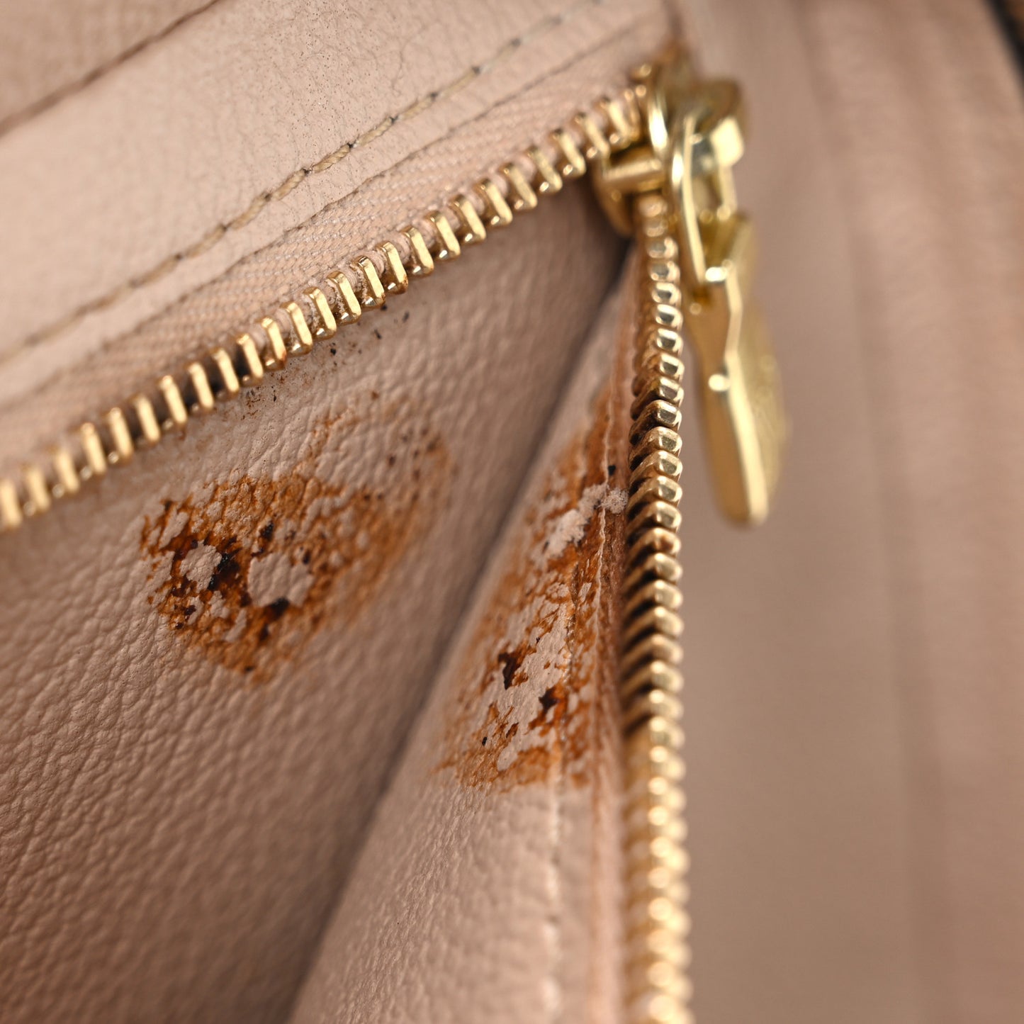 Monogram Nice BB