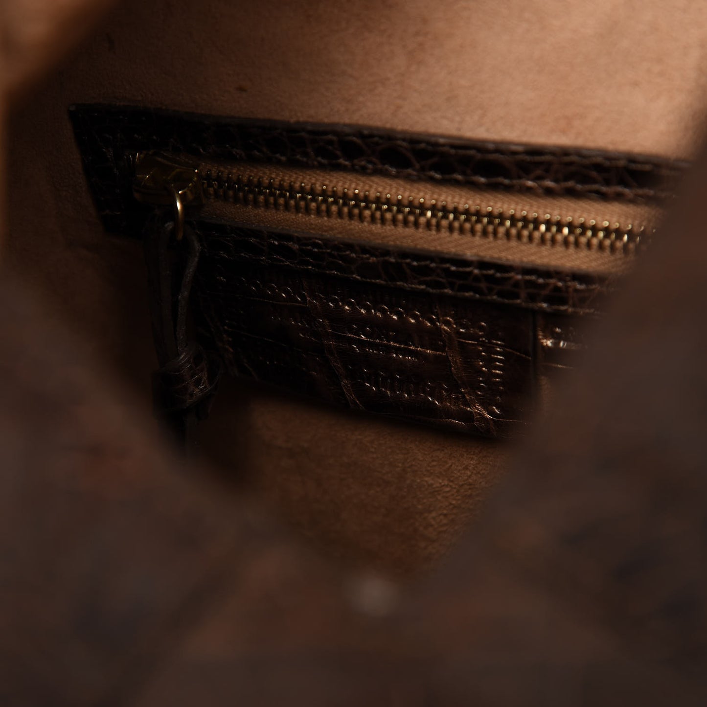 Crocodile Hobo Brown