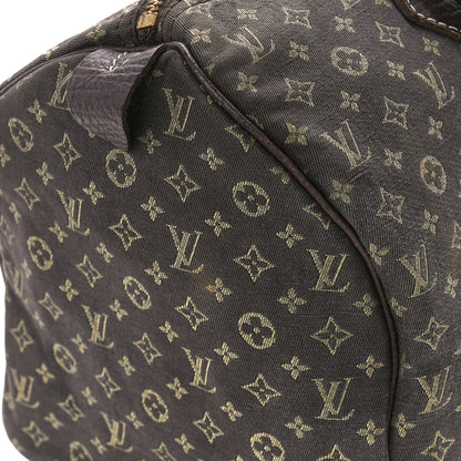 Louis Vuitton Mini Lin Speedy 30 Ebene 12 of 13