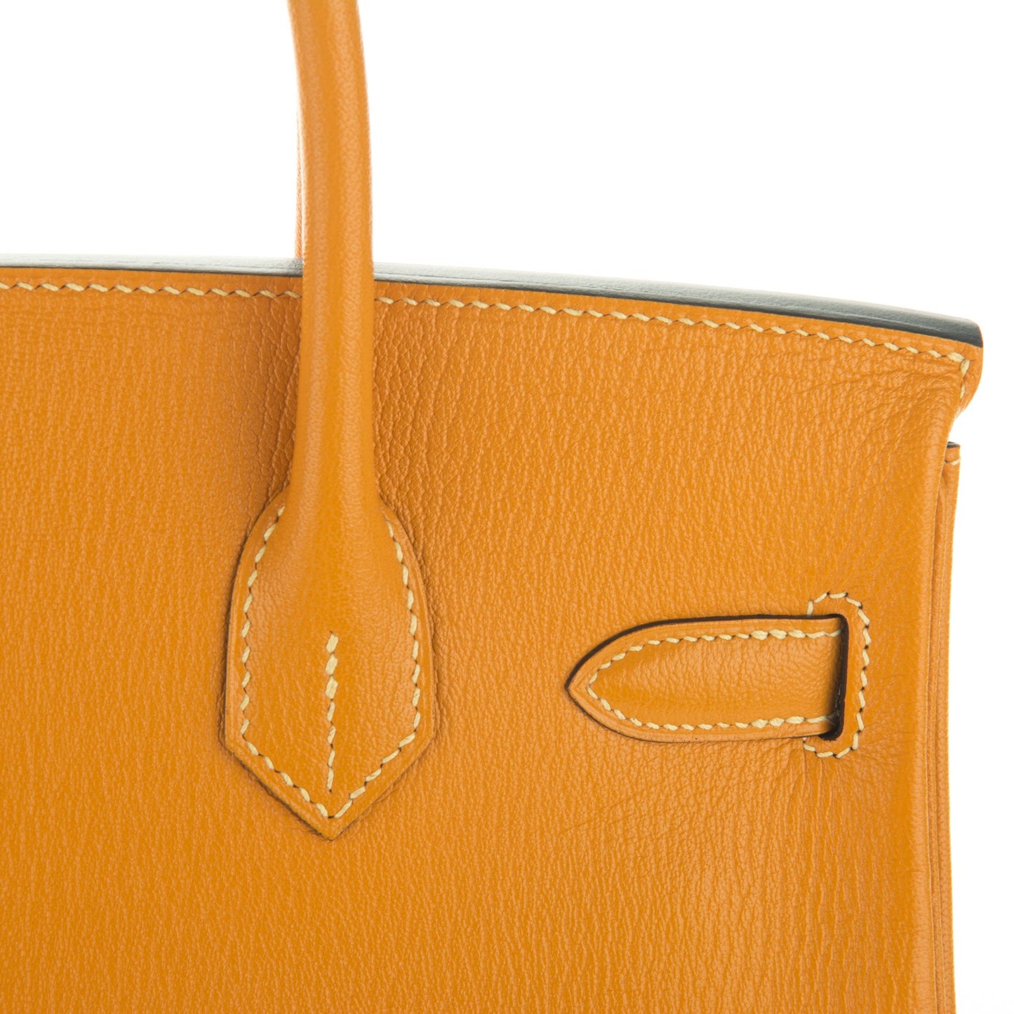Chevre Mysore Horseshoe Birkin 30 Curry Raisin
