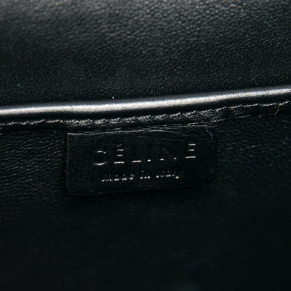 Celine Bullhide Calfskin Nano Tri-Color Luggage Beige 6 of 6