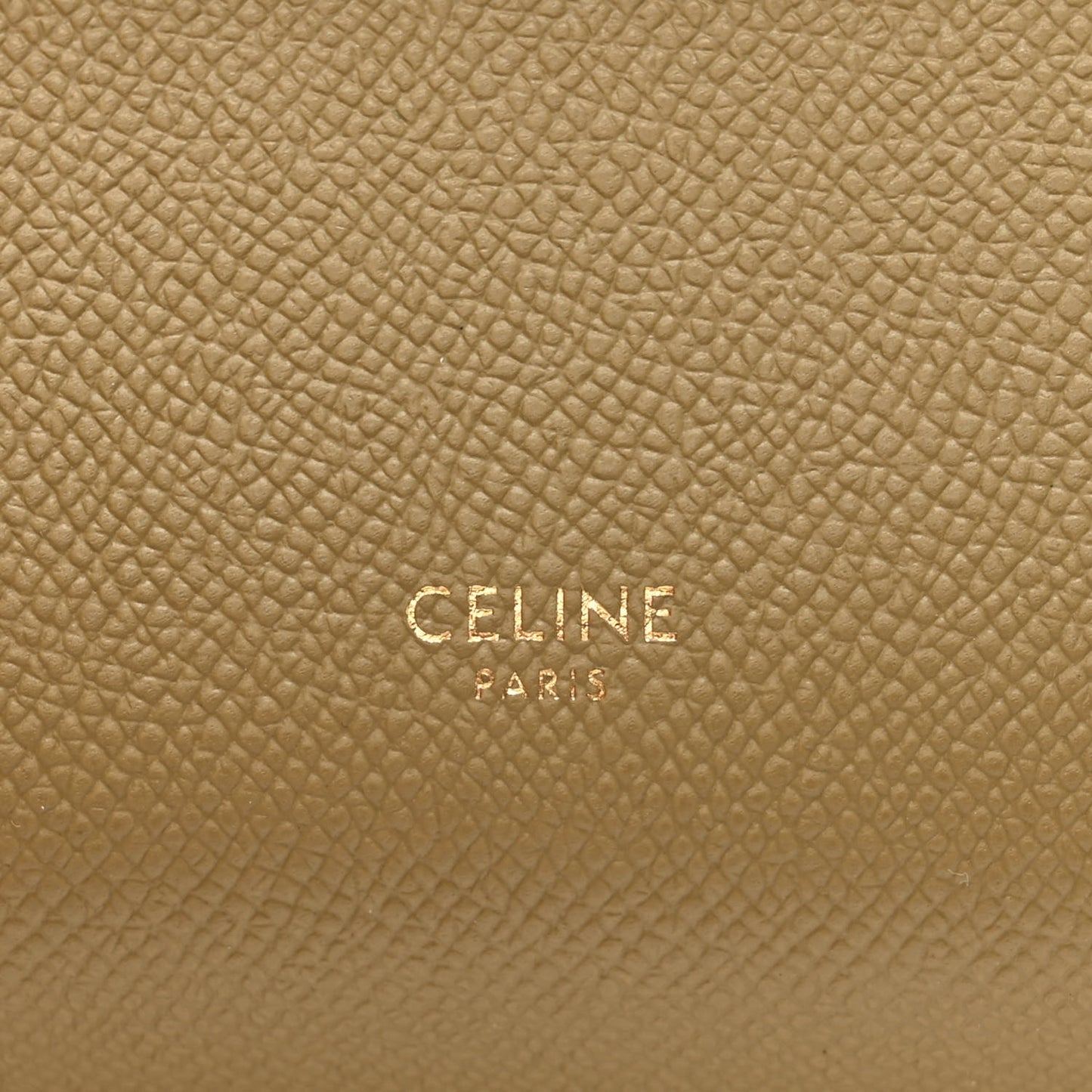 Grained Calfskin Nano Belt Bag Olive