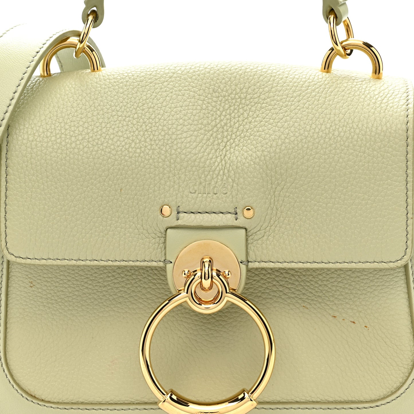 Calfskin Mini Tess Day Bag Light Eucalyptus